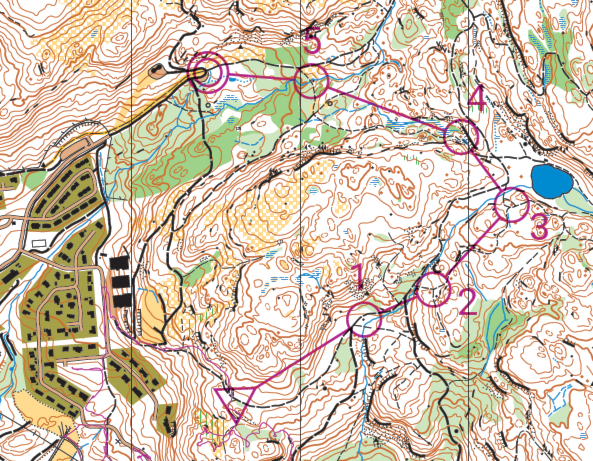 Treningsløp Harakollen